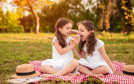 Twin girls eating ice cream in parkの写真素材