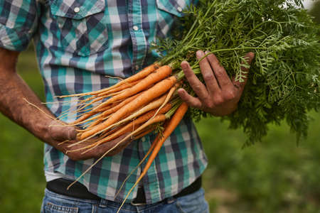 Crop farmer carrying bunch of carrotsの写真素材