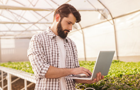 Bearded gardener browsing laptop near hydroponic tableの写真素材
