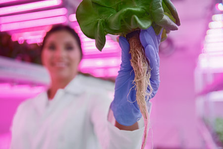 Woman showing green plant with root in hothouse