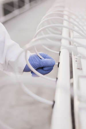 Agronomist checking hydroponics system in hothouse