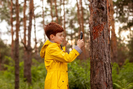 Kid with magnifier exploring natureの写真素材