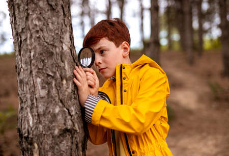 Curious boy with magnifier in forestの写真素材