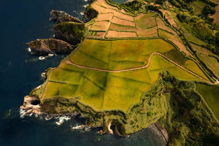 Green island with rocky coastの写真素材