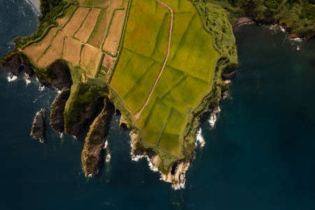 Agricultural plantations on coastline of islandの写真素材