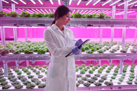 Biologist taking notes in greenhouseの写真素材