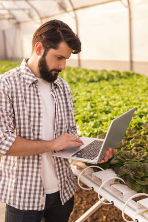 Farmer using laptop in greenhouseの写真素材