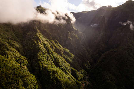 Scenic green mountainous woods lit by sunlight