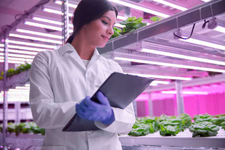 Young female botanist examining plants growing in greenhouse under UV lampsの写真素材