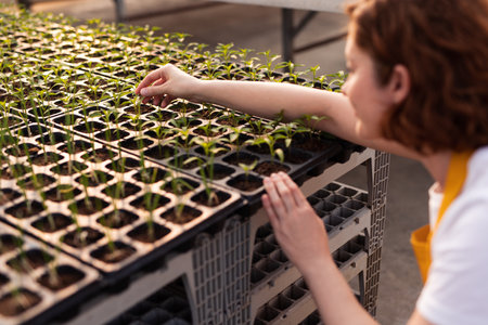 Woman checking seedlings in potsの写真素材