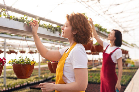 Female farmer checking plants near colleagueの写真素材
