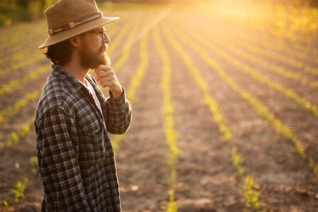 Thoughtful Farmer Observing Crops During Sunset in a Rural Fieldの写真素材