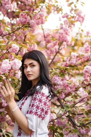 Woman in Traditional Dress Among Blooming Pink Cherry Blossoms in Springtimeの写真素材
