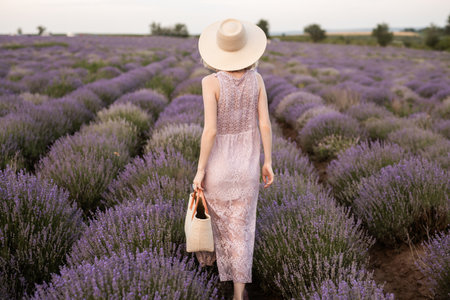 Woman in a Lavender Field Wearing a Hat and Lace Dressの写真素材