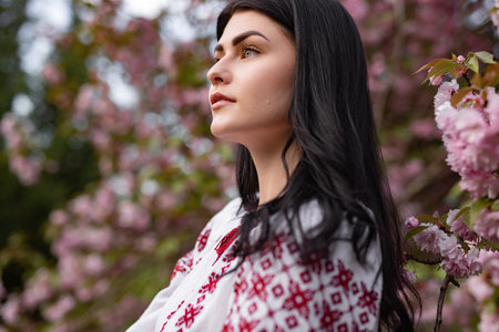 Elegant Woman in Traditional Attire Amidst Blooming Cherry Blossomsの写真素材