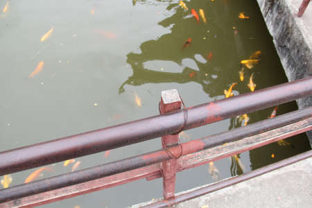 Outside the fence of the waterの写真素材