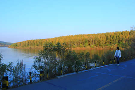 Park Viewのeditorial素材