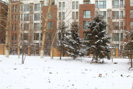 Snow pines and housesのeditorial素材