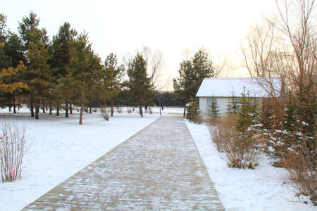 Winter roadの写真素材