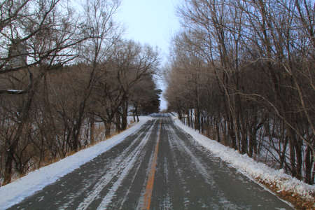 highway among the forest の写真素材