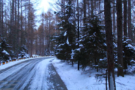 Snowy roadの写真素材