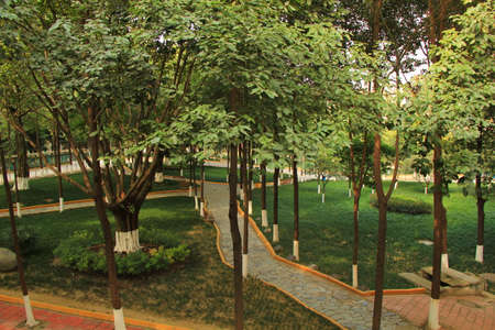 Woods and gardenの写真素材