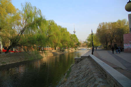 River and shoreの写真素材