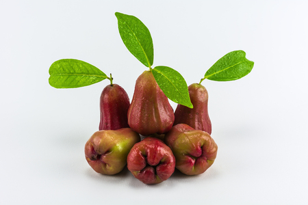 Rose apples isolated on white background.の写真素材