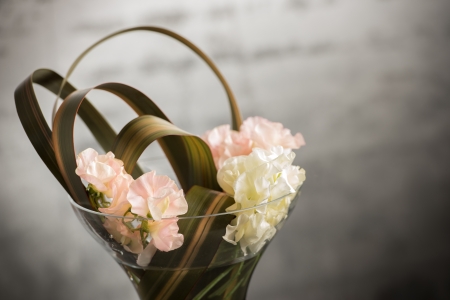 Floristの写真素材
