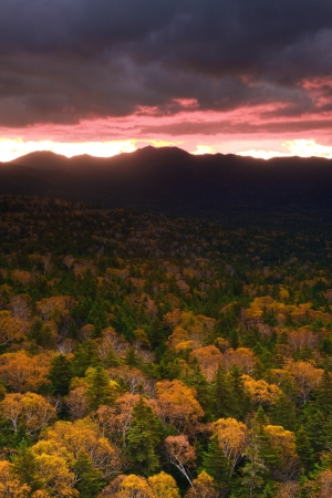 Dawnの写真素材