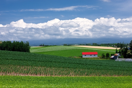 Harvestの写真素材