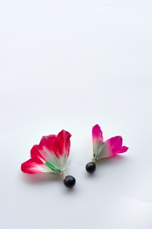 Japanの写真素材