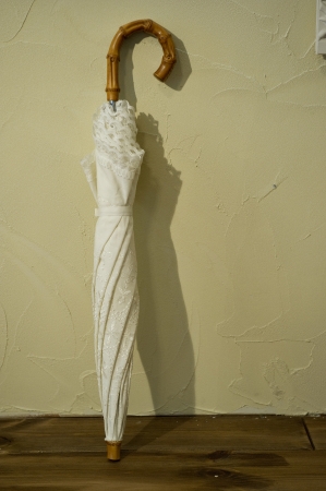 Umbrellaの写真素材