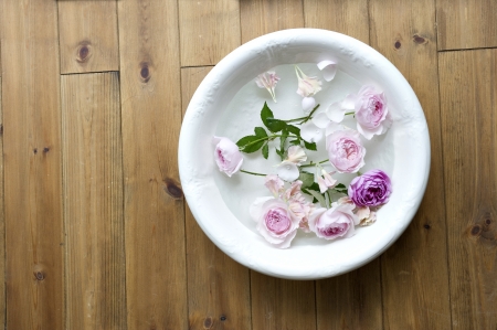 flowersの写真素材