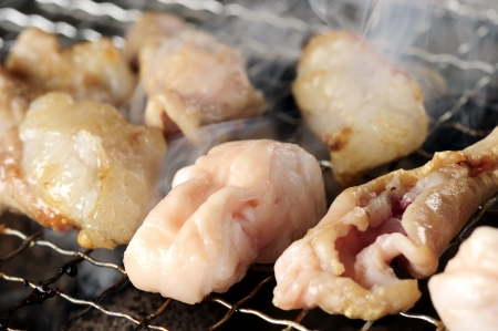 Grilled meatの写真素材