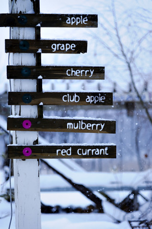 sign of fruitsの写真素材
