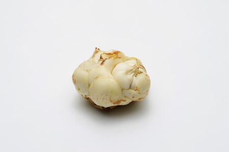 Lily bulb on whiteの写真素材