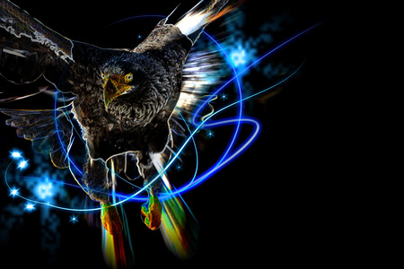 Eagle abstractの写真素材