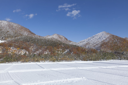 Autumn leavesの写真素材