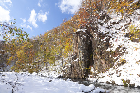 Autumn leavesの写真素材