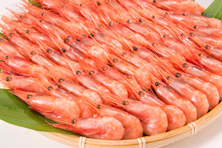 Shrimpの写真素材