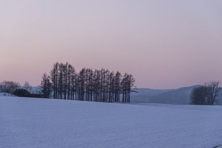Snow sceneの写真素材