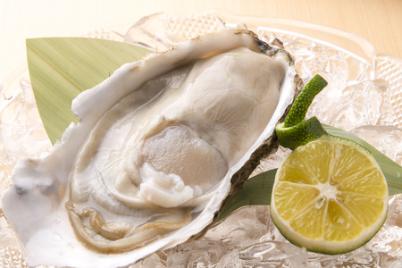 Oysterの写真素材