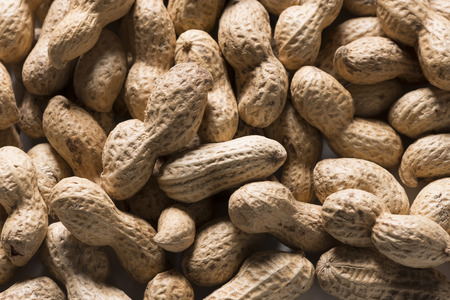 Peanut