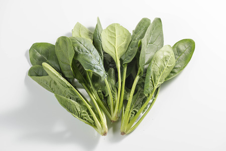 agricultureの写真素材