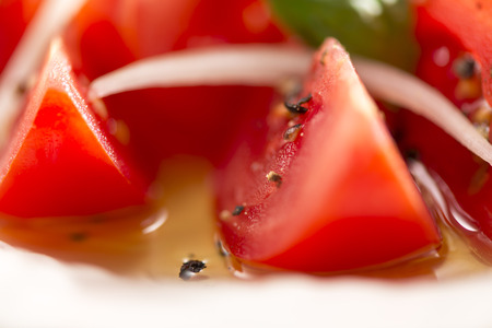 tomatoの写真素材