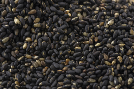 Sesameの写真素材