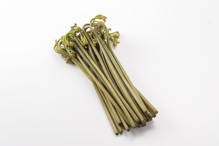 Brackenの写真素材