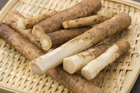 Burdockの写真素材