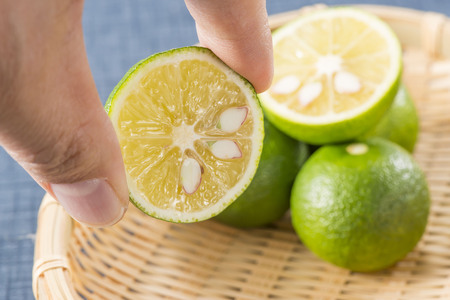 Citrusの写真素材